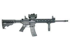 S&W MP15 22