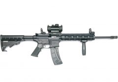 S&W MP15 22